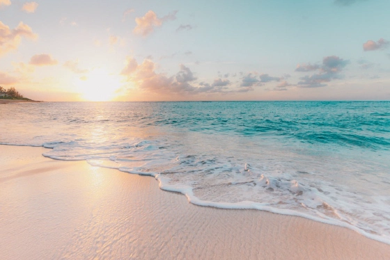 Barefoot footprints on wet sand at a beach at golden hour
