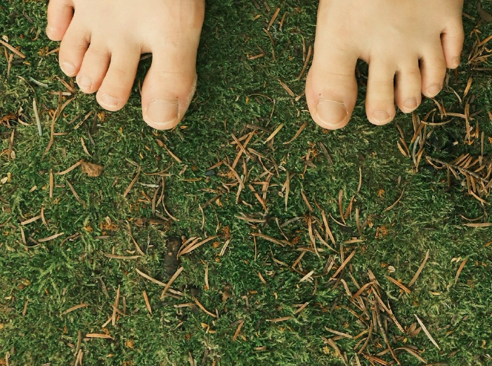 Walking Barefoot in the Forest: A Love Letter to the Forest Floor