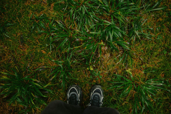 Pieds connectés à l'herbe et à la terre naturelle
