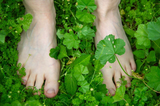 Bare feet on natural grass and earth